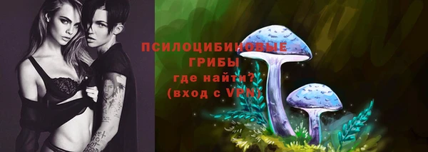 соль ск Кодинск