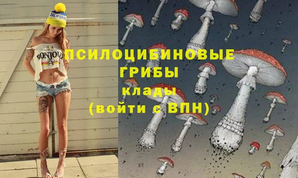 герыч Козельск