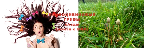 соль ск Кодинск