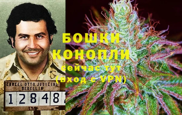 соль ск Кодинск